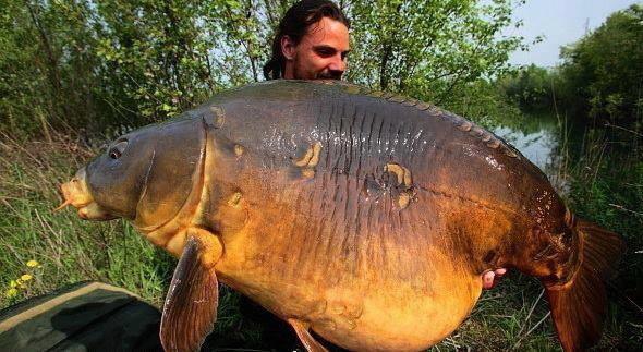 Dulapi - 1157641464434023654919326578077n.jpg